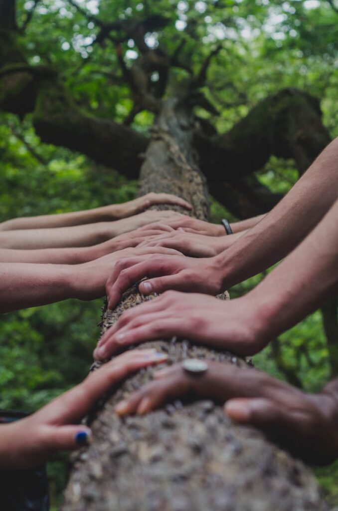 a group of people holding hands on top of a tree Project Manager  Requirements